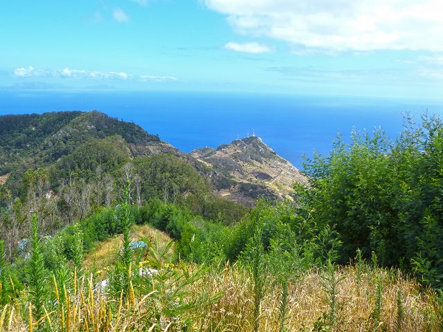 20.07.2014 Canical, Pico Castanho, Pico do Facho, Canical — Aufstieg zum Castanho — Foto 33