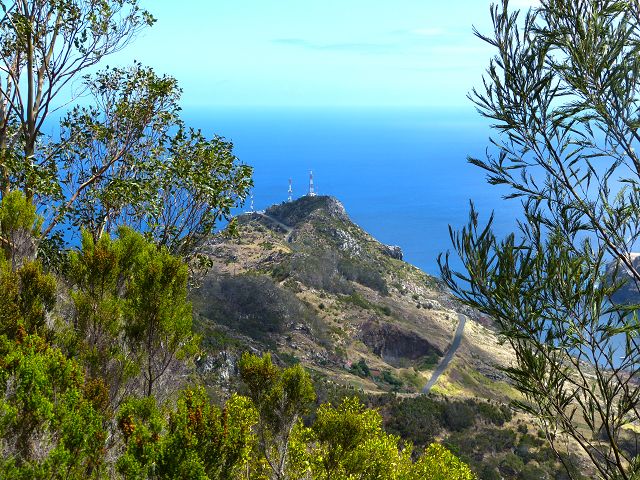 20.07.2014 Canical, Pico Castanho, Pico do Facho, Canical — Abstieg und über Küstenweg zurück zum Ausgangspunkt — Foto 4