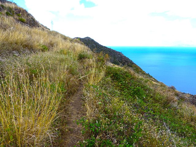 20.07.2014 Canical, Pico Castanho, Pico do Facho, Canical — Abstieg und über Küstenweg zurück zum Ausgangspunkt — Foto 8