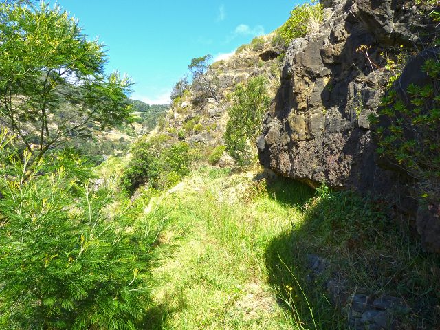 20.07.2014 Canical, Pico Castanho, Pico do Facho, Canical — Auf der Levada do Canical inf. und dem Hauptast zum Canicaltunnel — Foto 21