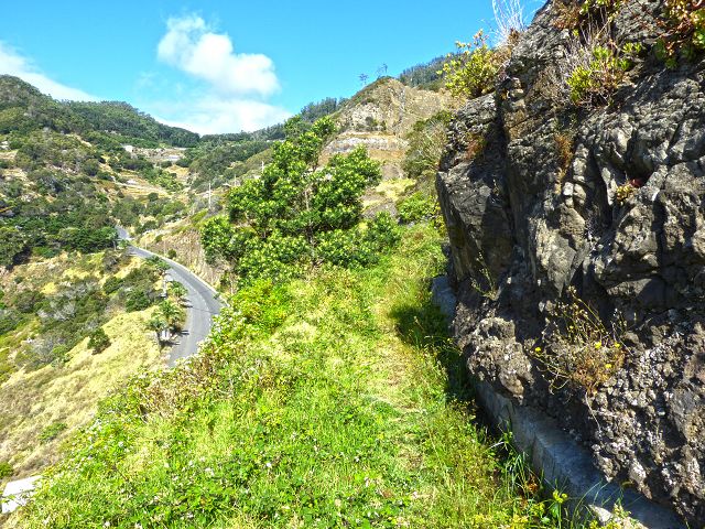 20.07.2014 Canical, Pico Castanho, Pico do Facho, Canical — Auf der Levada do Canical inf. und dem Hauptast zum Canicaltunnel — Foto 23