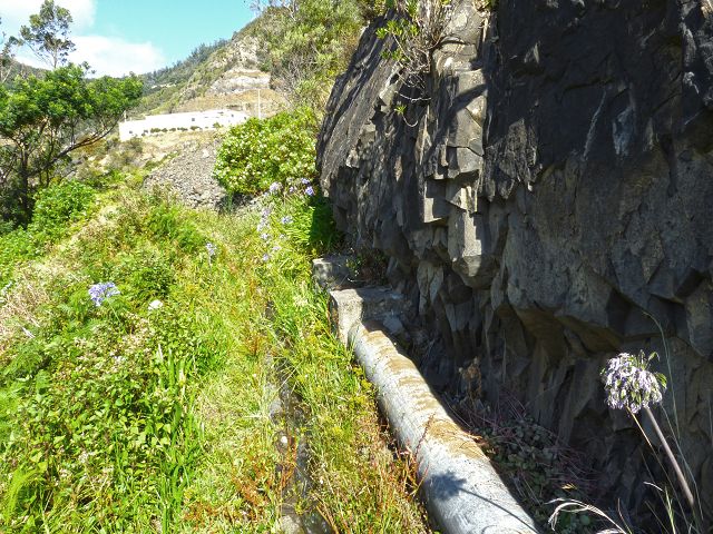 20.07.2014 Canical, Pico Castanho, Pico do Facho, Canical — Auf der Levada do Canical inf. und dem Hauptast zum Canicaltunnel — Foto 24