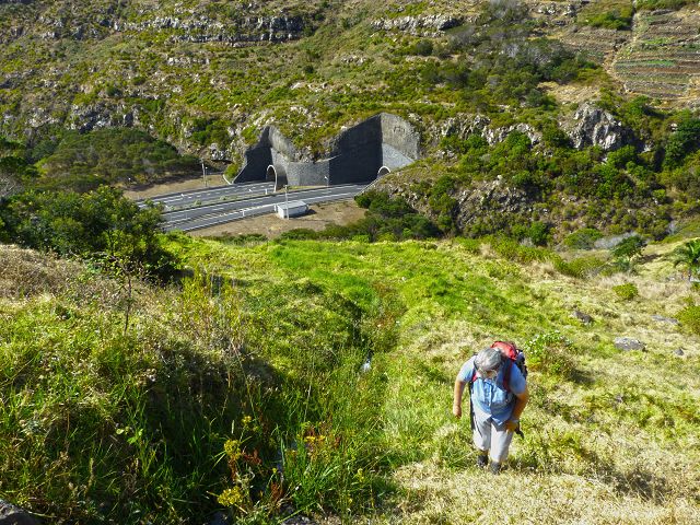 20.07.2014 Canical, Pico Castanho, Pico do Facho, Canical — Auf der Levada do Canical inf. und dem Hauptast zum Canicaltunnel — Foto 27