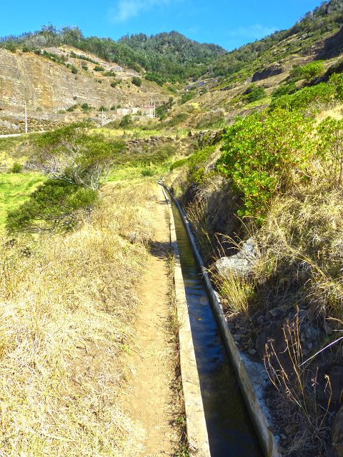 20.07.2014 Canical, Pico Castanho, Pico do Facho, Canical — Auf der Levada do Canical inf. und dem Hauptast zum Canicaltunnel — Foto 28