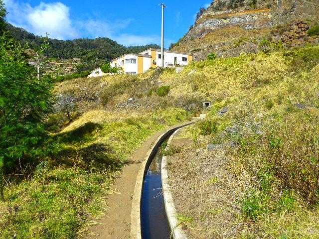 20.07.2014 Canical, Pico Castanho, Pico do Facho, Canical — Auf der Levada do Canical inf. und dem Hauptast zum Canicaltunnel — Foto 29