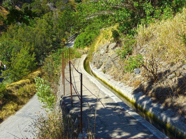 20.07.2014 Canical, Pico Castanho, Pico do Facho, Canical — Auf der Levada do Canical inf. und dem Hauptast zum Canicaltunnel — Foto 35
