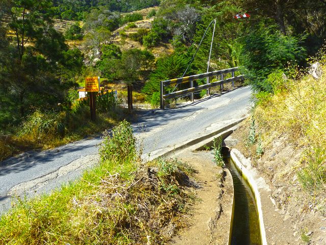 20.07.2014 Canical, Pico Castanho, Pico do Facho, Canical — Auf der Levada do Canical inf. und dem Hauptast zum Canicaltunnel — Foto 36