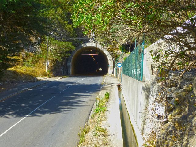 20.07.2014 Canical, Pico Castanho, Pico do Facho, Canical — Auf der Levada do Canical inf. und dem Hauptast zum Canicaltunnel — Foto 37