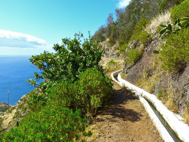 20.07.2014 Canical, Pico Castanho, Pico do Facho, Canical — In Fliessrichtung bis zum Aufstieg zum Pico das Rocadas — Foto 18
