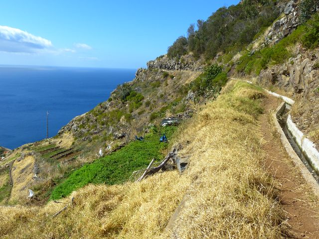 20.07.2014 Canical, Pico Castanho, Pico do Facho, Canical — In Fliessrichtung bis zum Aufstieg zum Pico das Rocadas — Foto 20