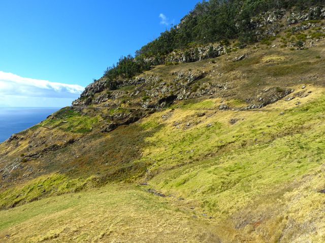 20.07.2014 Canical, Pico Castanho, Pico do Facho, Canical — In Fliessrichtung bis zum Aufstieg zum Pico das Rocadas — Foto 27