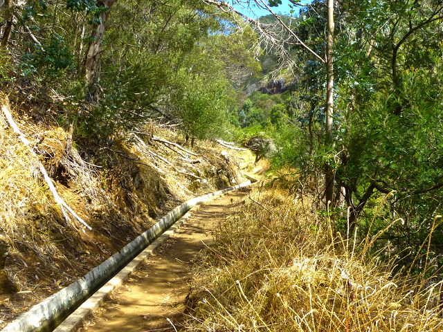 20.07.2014 Canical, Pico Castanho, Pico do Facho, Canical — In Fliessrichtung bis zum Aufstieg zum Pico das Rocadas — Foto 39