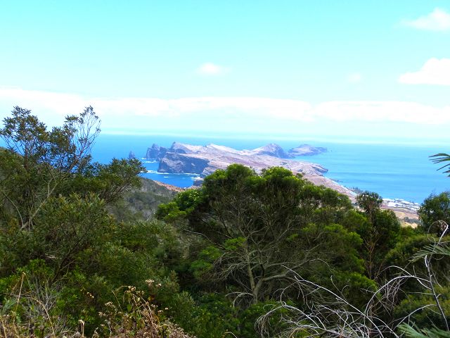 20.07.2014 Canical, Pico Castanho, Pico do Facho, Canical — Aufstieg zum Castanho — Foto 4