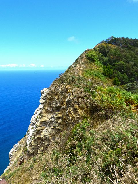 20.07.2014 Canical, Pico Castanho, Pico do Facho, Canical — Aufstieg zum Castanho — Foto 6