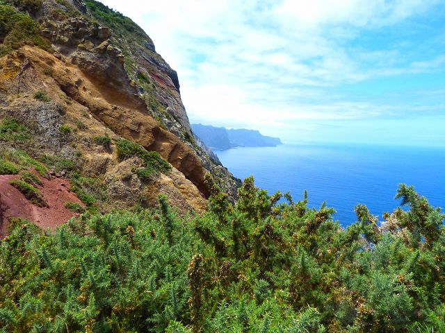 20.07.2014 Canical, Pico Castanho, Pico do Facho, Canical — Aufstieg zum Castanho — Foto 7