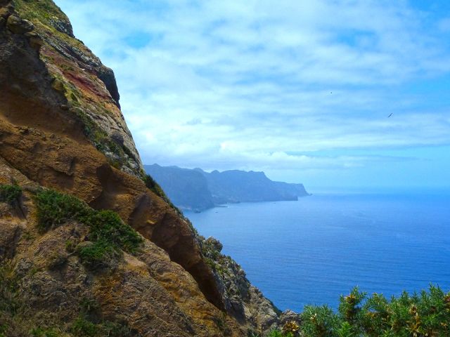 20.07.2014 Canical, Pico Castanho, Pico do Facho, Canical — Aufstieg zum Castanho — Foto 8