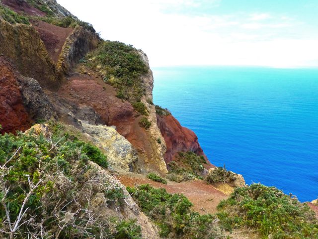 20.07.2014 Canical, Pico Castanho, Pico do Facho, Canical — Aufstieg zum Castanho — Foto 9