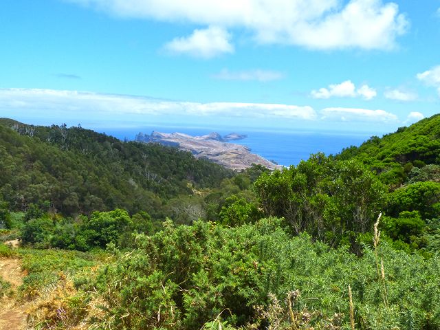 20.07.2014 Canical, Pico Castanho, Pico do Facho, Canical — Aufstieg zum Castanho — Foto 10