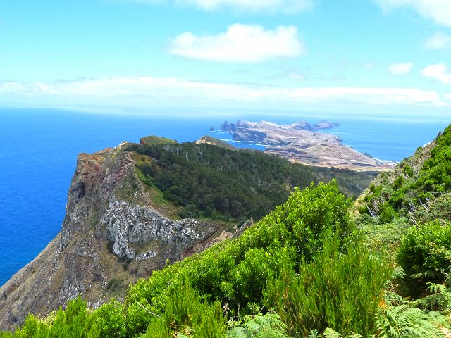20.07.2014 Canical, Pico Castanho, Pico do Facho, Canical — Aufstieg zum Castanho — Foto 12