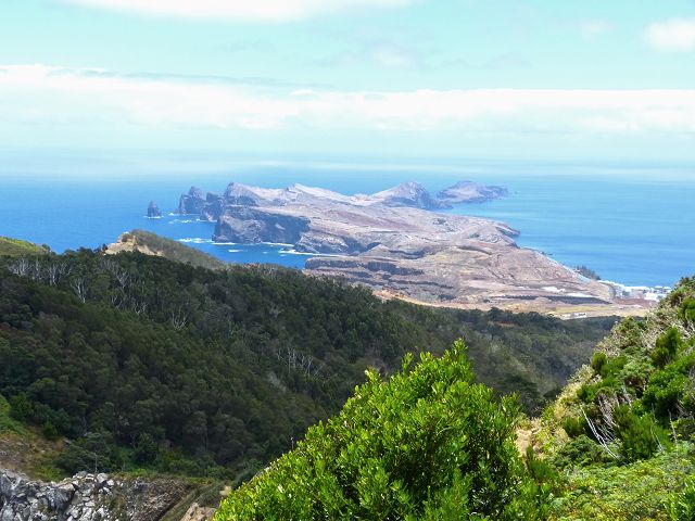 20.07.2014 Canical, Pico Castanho, Pico do Facho, Canical — Aufstieg zum Castanho — Foto 13