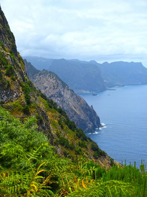 20.07.2014 Canical, Pico Castanho, Pico do Facho, Canical — Aufstieg zum Castanho — Foto 14