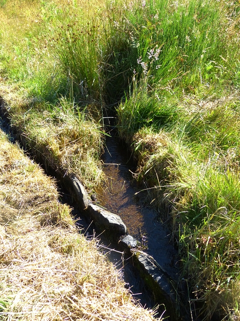 20.07.2015 Bica da Cana, Levada da Serra und Levada do Paul 2 — Von Bica da Cana zur zweiten Madre der Levada da Serra — Foto 14