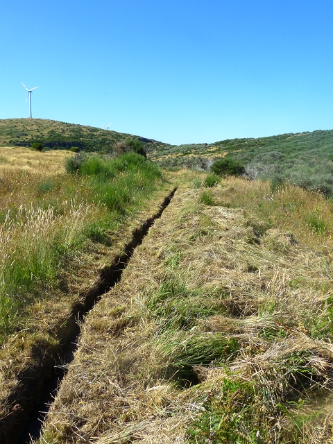 20.07.2015 Bica da Cana, Levada da Serra und Levada do Paul 2 — Von Bica da Cana zur zweiten Madre der Levada da Serra — Foto 16