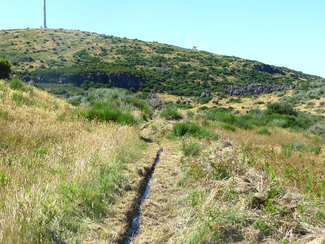 20.07.2015 Bica da Cana, Levada da Serra und Levada do Paul 2 — Von Bica da Cana zur zweiten Madre der Levada da Serra — Foto 17