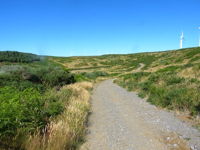 20.07.2015 Bica da Cana, Levada da Serra und Levada do Paul 2 — Von Bica da Cana zur zweiten Madre der Levada da Serra — Foto 2