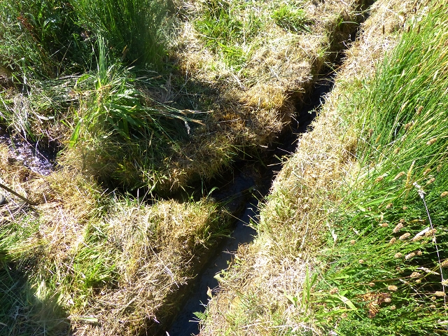 20.07.2015 Bica da Cana, Levada da Serra und Levada do Paul 2 — Von Bica da Cana zur zweiten Madre der Levada da Serra — Foto 21