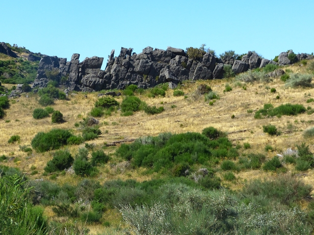 20.07.2015 Bica da Cana, Levada da Serra und Levada do Paul 2 — Von Bica da Cana zur zweiten Madre der Levada da Serra — Foto 22