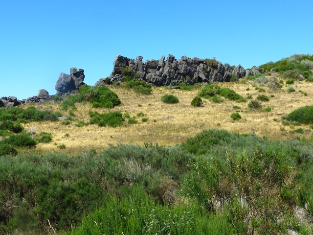 20.07.2015 Bica da Cana, Levada da Serra und Levada do Paul 2 — Von Bica da Cana zur zweiten Madre der Levada da Serra — Foto 23