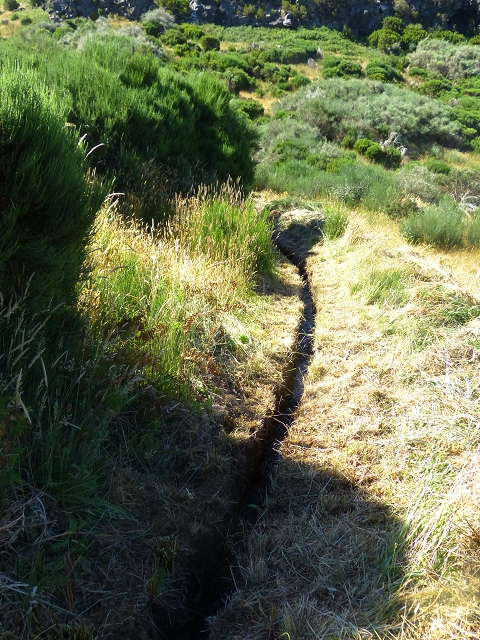 20.07.2015 Bica da Cana, Levada da Serra und Levada do Paul 2 — Von Bica da Cana zur zweiten Madre der Levada da Serra — Foto 25
