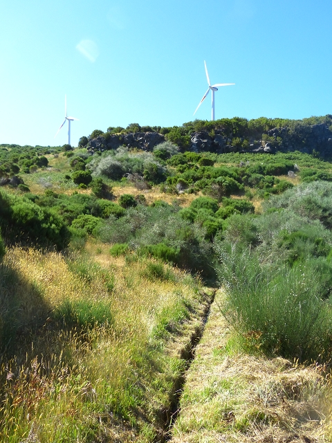 20.07.2015 Bica da Cana, Levada da Serra und Levada do Paul 2 — Von Bica da Cana zur zweiten Madre der Levada da Serra — Foto 26