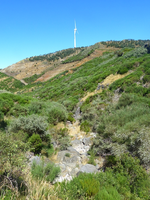 20.07.2015 Bica da Cana, Levada da Serra und Levada do Paul 2 — Von Bica da Cana zur zweiten Madre der Levada da Serra — Foto 30