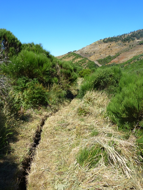 20.07.2015 Bica da Cana, Levada da Serra und Levada do Paul 2 — Von Bica da Cana zur zweiten Madre der Levada da Serra — Foto 31