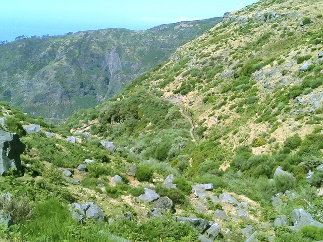 20.07.2015 Bica da Cana, Levada da Serra und Levada do Paul 2 — Von Bica da Cana zur zweiten Madre der Levada da Serra — Foto 36