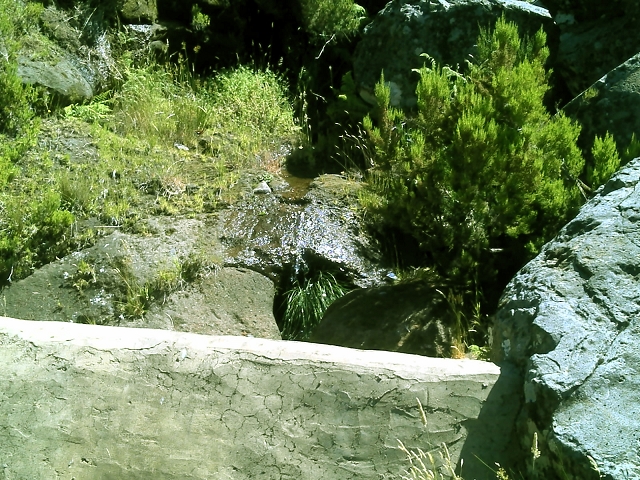 20.07.2015 Bica da Cana, Levada da Serra und Levada do Paul 2 — Von Bica da Cana zur zweiten Madre der Levada da Serra — Foto 38