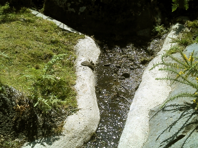 20.07.2015 Bica da Cana, Levada da Serra und Levada do Paul 2 — Levada da Serra bis zur Abrutschstelle — Foto 1