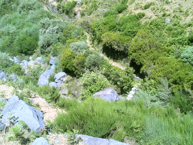20.07.2015 Bica da Cana, Levada da Serra und Levada do Paul 2 — Levada da Serra bis zur Abrutschstelle — Foto 2