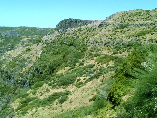 20.07.2015 Bica da Cana, Levada da Serra und Levada do Paul 2 — Levada da Serra bis zur Abrutschstelle — Foto 4