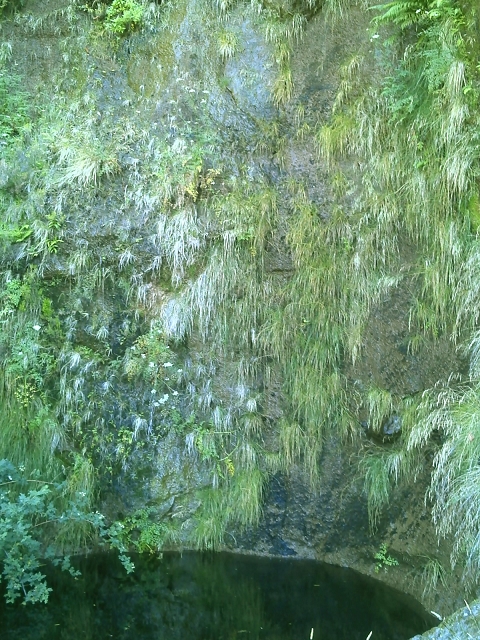 20.07.2015 Bica da Cana, Levada da Serra und Levada do Paul 2 — Levada da Serra bis zur Abrutschstelle — Foto 7