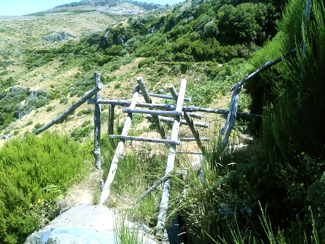 20.07.2015 Bica da Cana, Levada da Serra und Levada do Paul 2 — Levada da Serra, Levada da Bica da Cana und zurück zum Auto — Foto 1