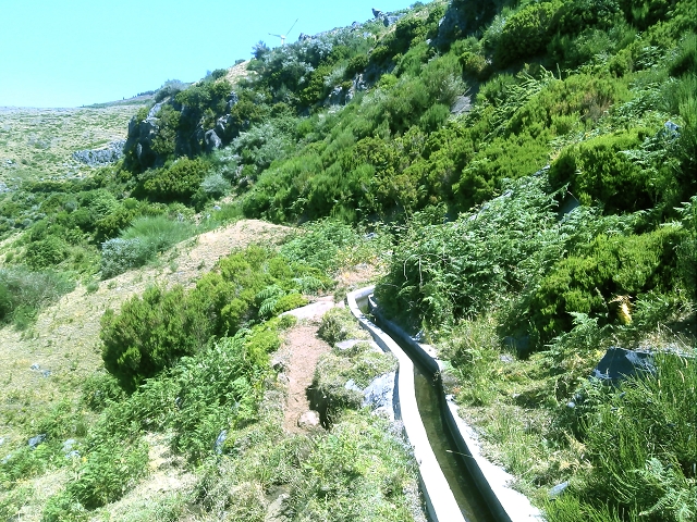 20.07.2015 Bica da Cana, Levada da Serra und Levada do Paul 2 — Levada da Serra, Levada da Bica da Cana und zurück zum Auto — Foto 2