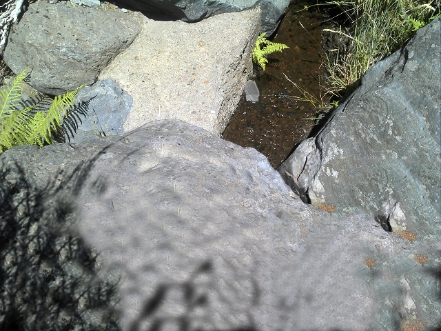 20.07.2015 Bica da Cana, Levada da Serra und Levada do Paul 2 — Levada da Serra, Levada da Bica da Cana und zurück zum Auto — Foto 6