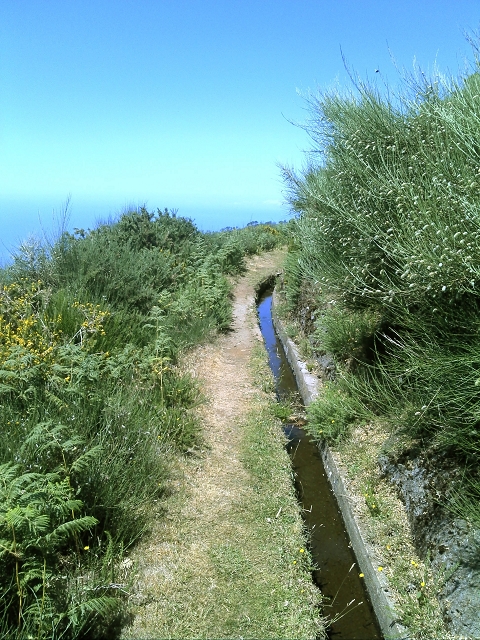 20.07.2015 Bica da Cana, Levada da Serra und Levada do Paul 2 — Levada da Serra, Levada da Bica da Cana und zurück zum Auto — Foto 8