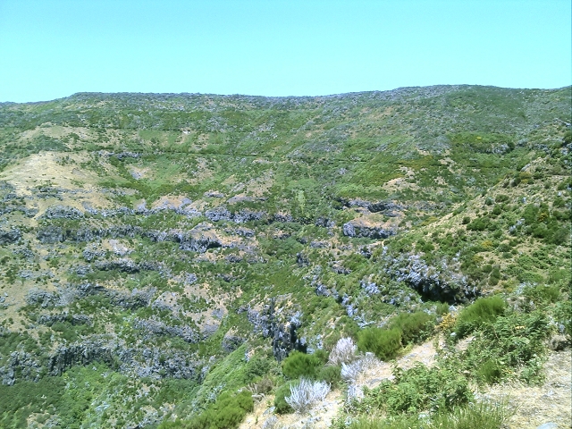 20.07.2015 Bica da Cana, Levada da Serra und Levada do Paul 2 — Levada da Serra, Levada da Bica da Cana und zurück zum Auto — Foto 9