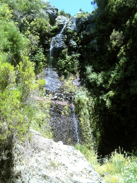 20.07.2015 Bica da Cana, Levada da Serra und Levada do Paul 2 — Levada da Serra, Levada da Bica da Cana und zurück zum Auto — Foto 11