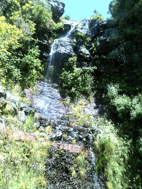 20.07.2015 Bica da Cana, Levada da Serra und Levada do Paul 2 — Levada da Serra, Levada da Bica da Cana und zurück zum Auto — Foto 12