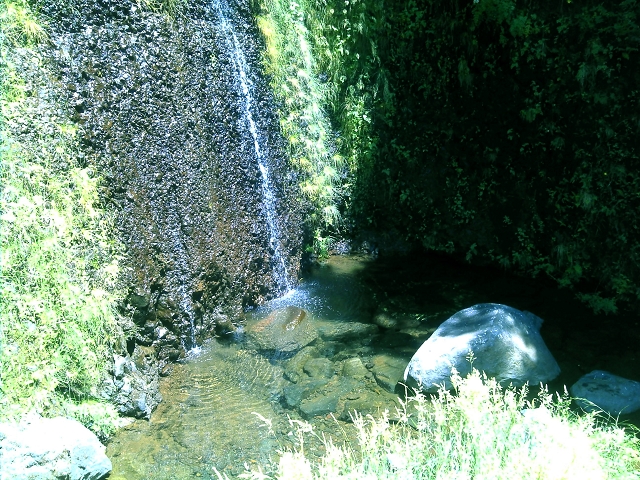20.07.2015 Bica da Cana, Levada da Serra und Levada do Paul 2 — Levada da Serra, Levada da Bica da Cana und zurück zum Auto — Foto 13